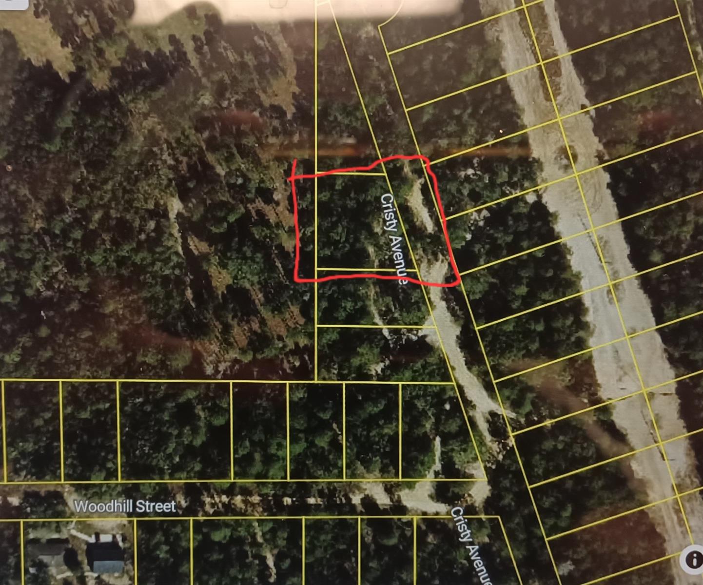 An aerial map shows a rectangular plot of land highlighted in red along Cristy Avenue — 107 N Cristy Ave, FL 34452, FL