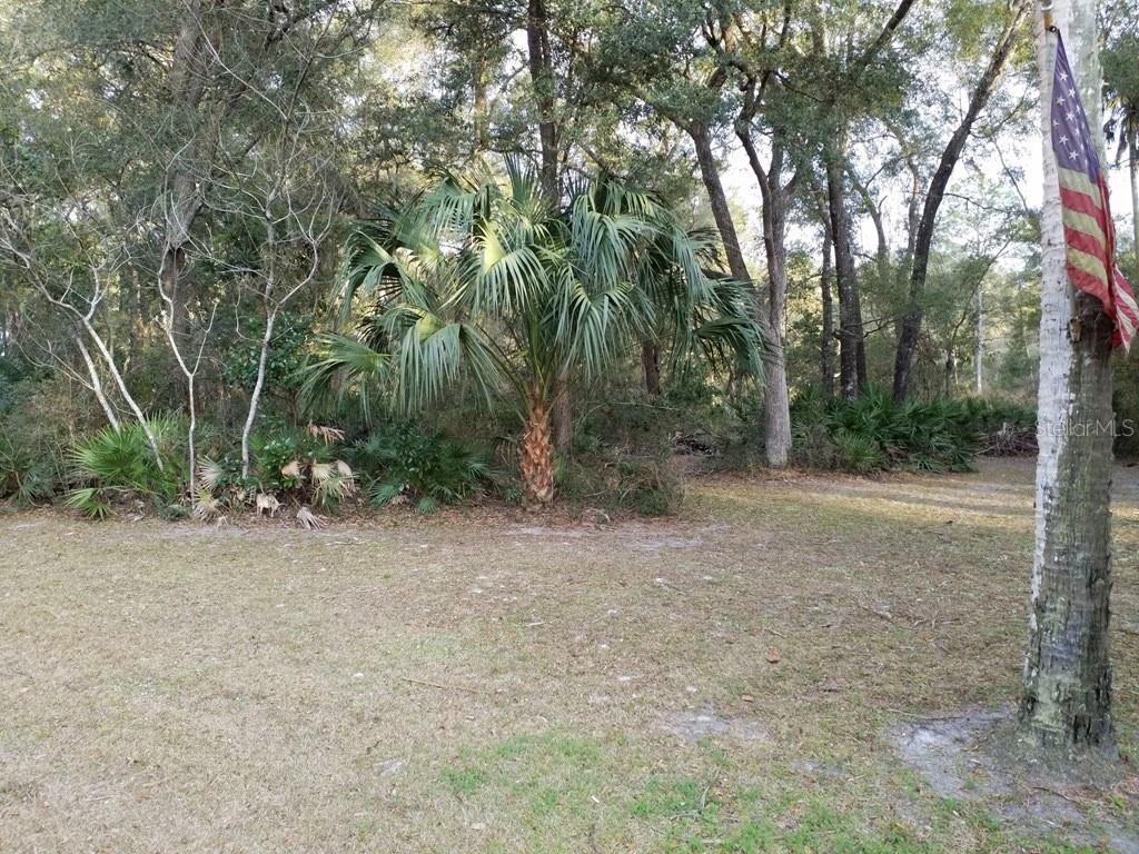 A grassy yard features a palm tree and a flag attached to a tree trunk — lot 12 NW 70 CIRCLE, CHIEFLAND, FL