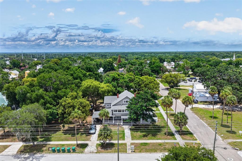 An aerial view shows a two-story house surrounded by trees and palm trees — 527 E LEMON AVENUE, EUSTIS, FL
