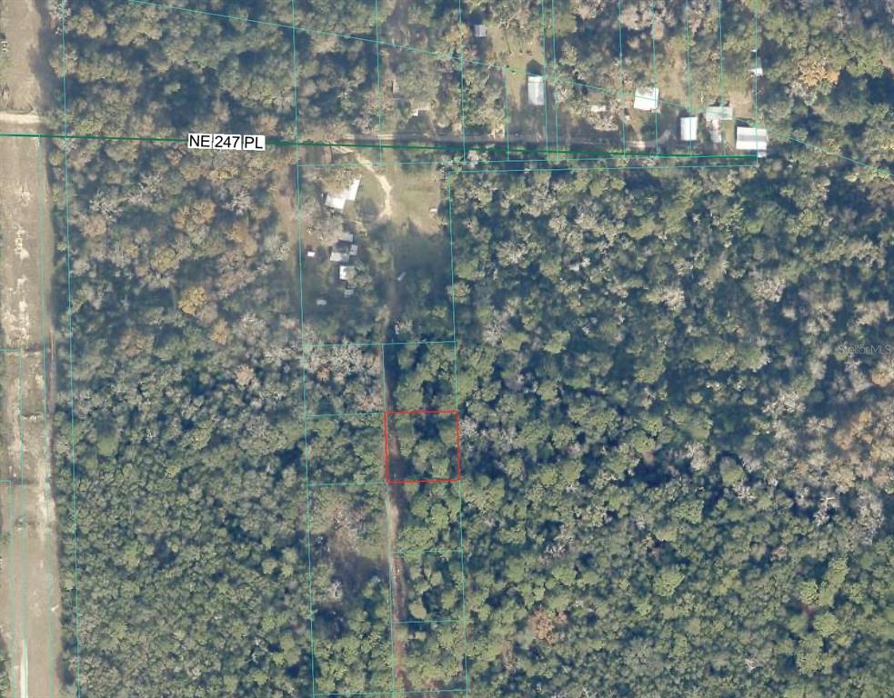 This is an aerial map showing a wooded lot with a red boundary outline — TBD NO SITUS, FORT MC COY, FL