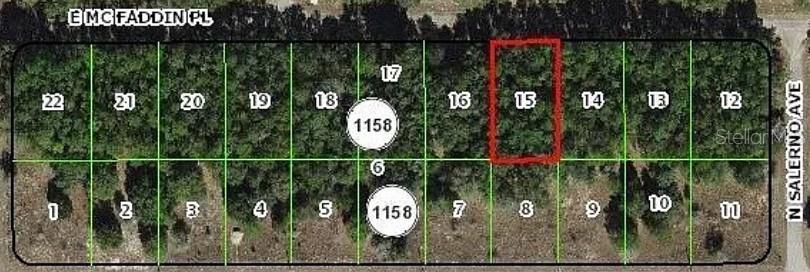 This is an aerial map showing a rectangular plot of land highlighted in red — 389 E MC FADDIN PLACE E, DUNNELLON, FL