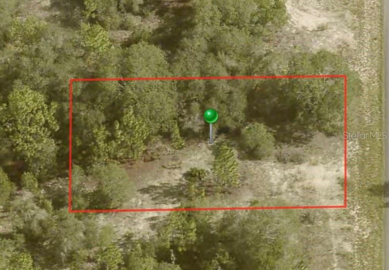 An aerial view shows a rectangular plot of land outlined in red with trees — 6706 N TASSEL TERRACE, CITRUS SPRINGS, FL