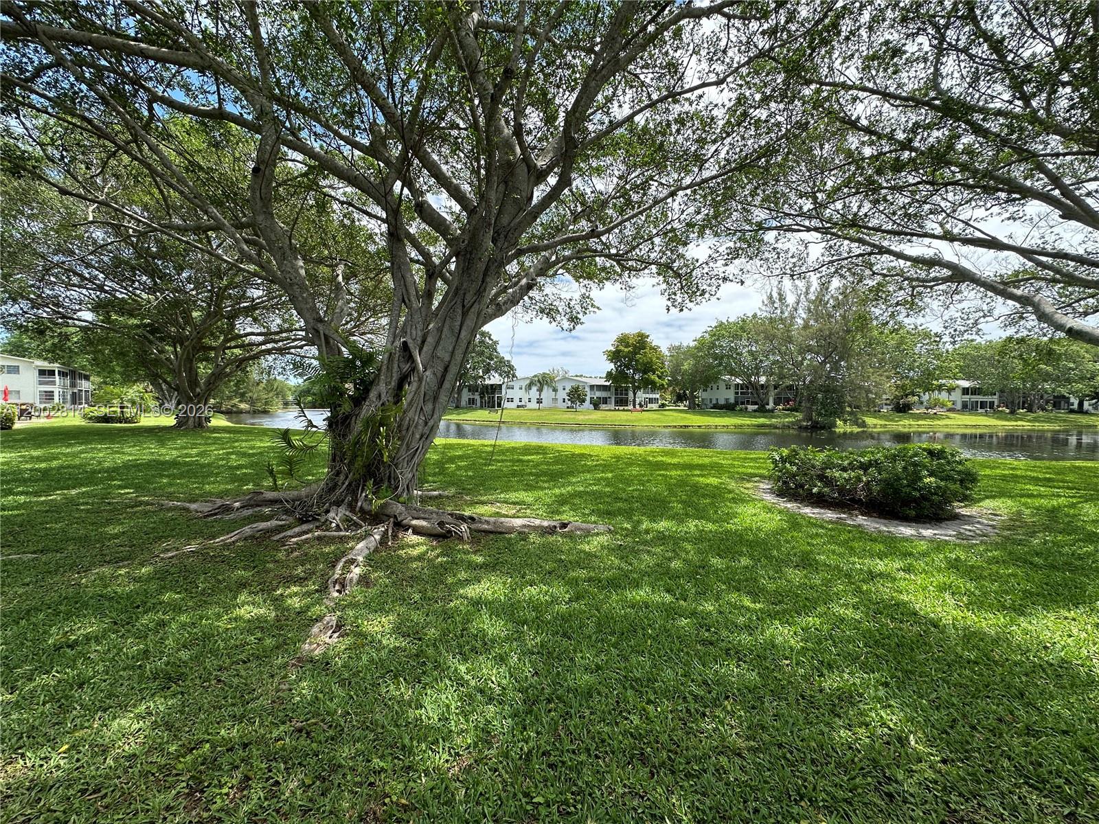 A large tree with exposed roots stands on a grassy lawn overlooking a pond — 2 Tilford A # 2, Deerfield Beach FL 33442, DEERFIELD BEACH, FL