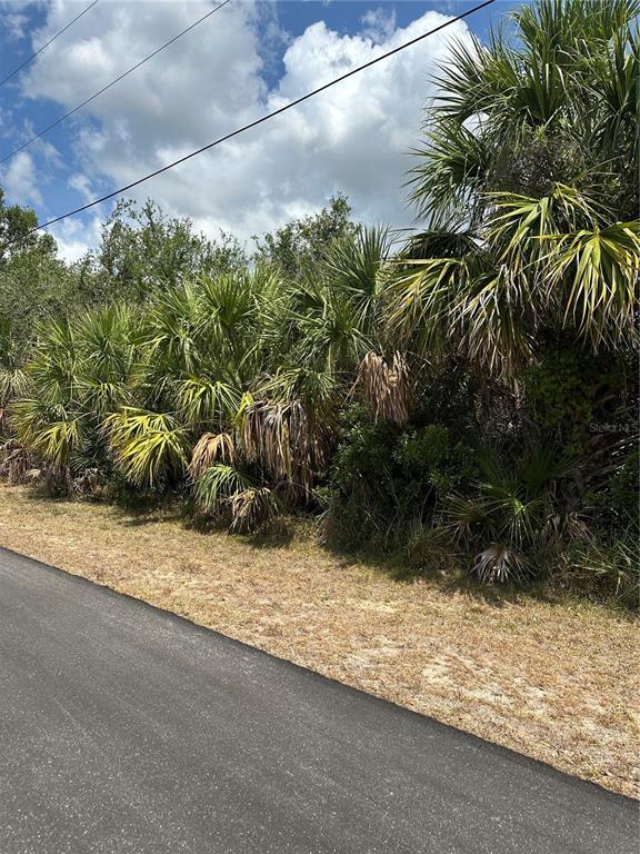 A paved road runs alongside a line of palm trees and dense vegetation — 12006 GROUSE AVENUE, PORT CHARLOTTE, FL