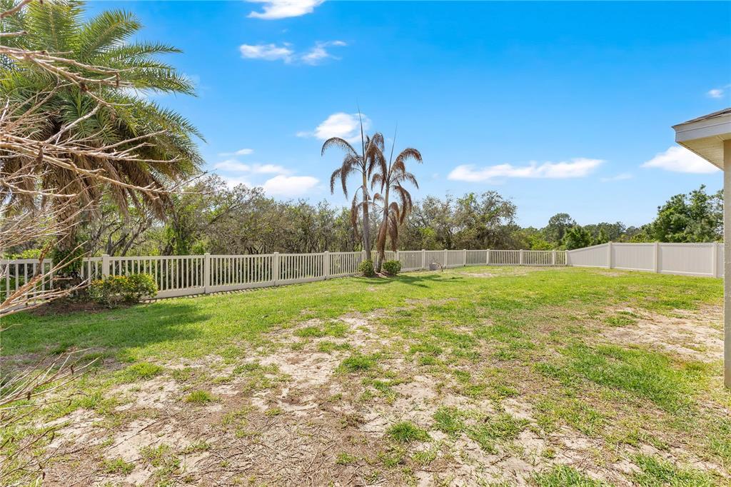 A grassy backyard features a white vinyl fence, a palm tree, and scattered sandy patches — 116 WHIRLAWAY DRIVE, DAVENPORT, FL