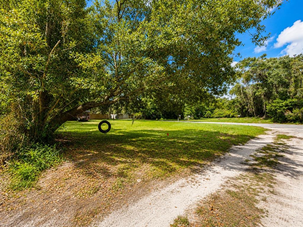 A grassy, tree-shaded vacant lot sits beside a dirt road with a tire swing — GASKINS STREET, LEESBURG, FL