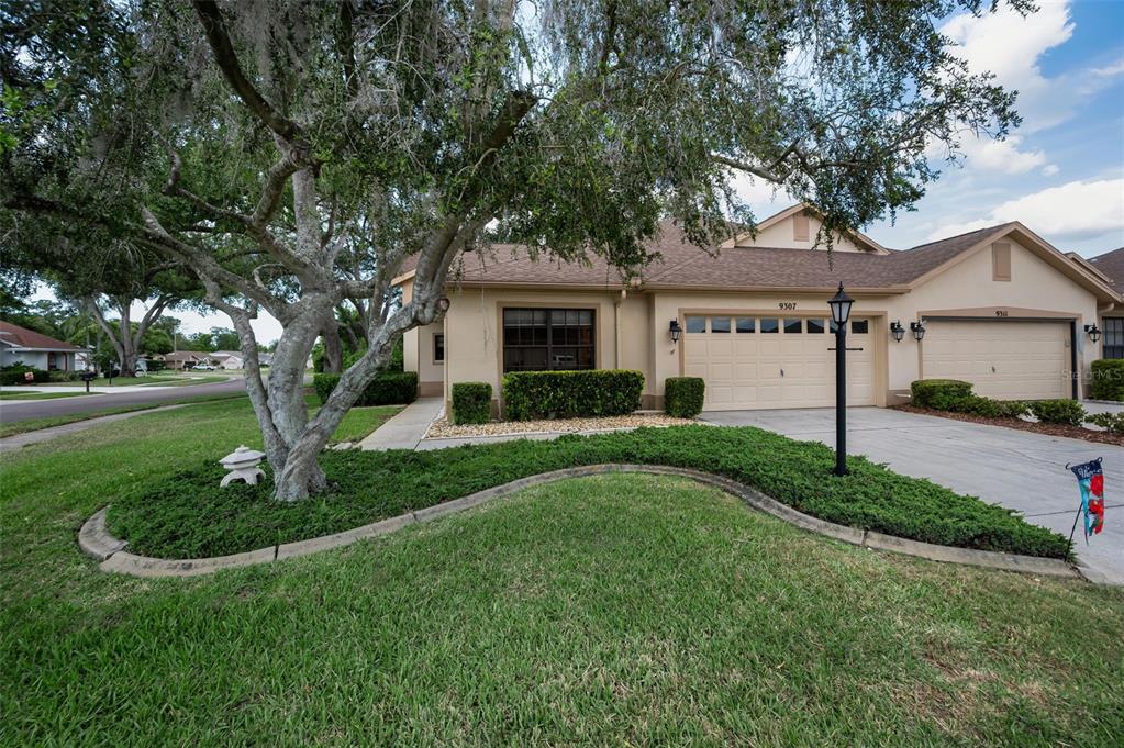 9307 PALM HAVEN COURT