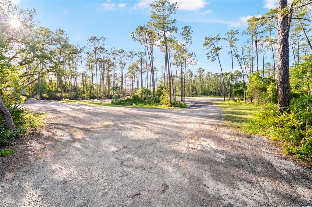 A dirt road leads through a wooded area with tall pine trees under a blue sky — 1000 SR 415, DELTONA, FL