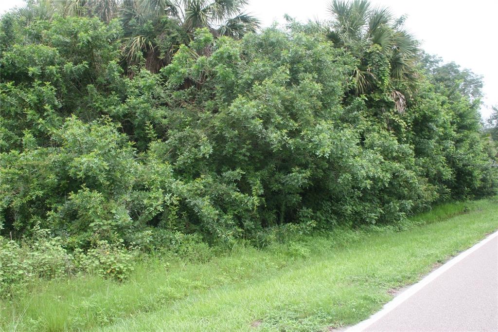 A dense thicket of green trees and shrubs borders the edge of a paved road — 1224 ALTON ROAD, PORT CHARLOTTE, FL