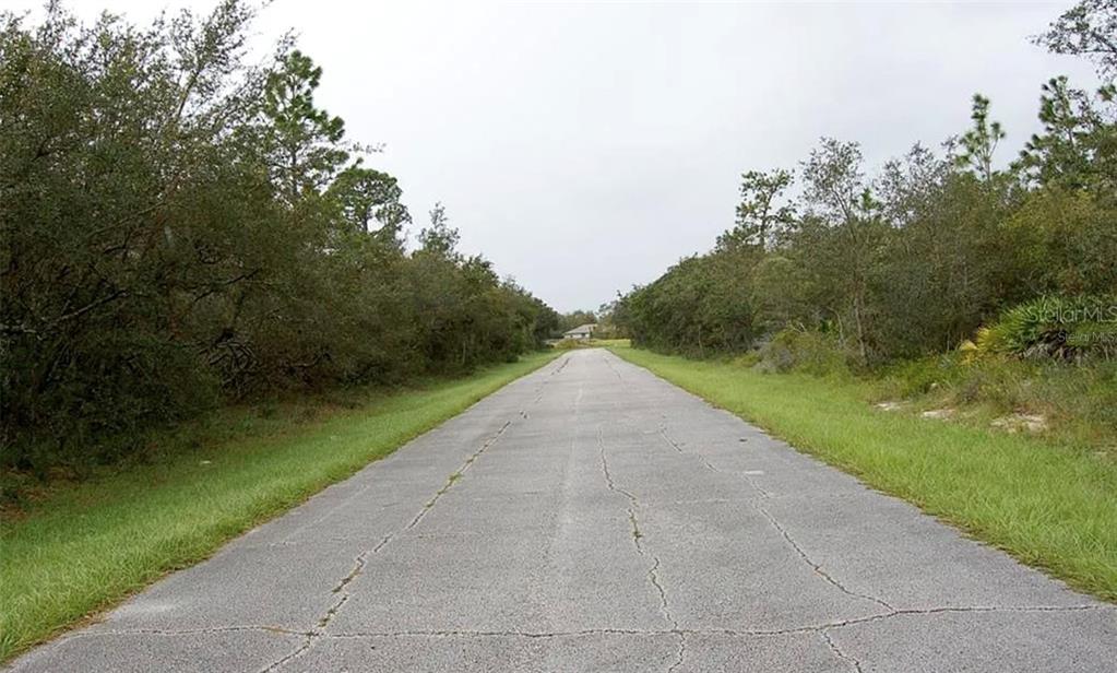 A paved road stretches into the distance, flanked by dense trees and grassy shoulders — 0 ST JOHNS COURT, POINCIANA, FL