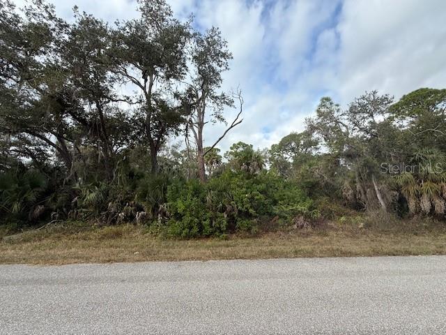 A view of a vacant, wooded lot from an adjacent paved road — 449 LEMOYNE STREET, PORT CHARLOTTE, FL