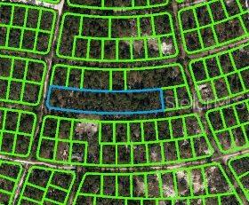 This is an aerial map showing a highlighted rectangular plot of land in a residential neighborhood — 350 STARDUST AVENUE, LAKE PLACID, FL