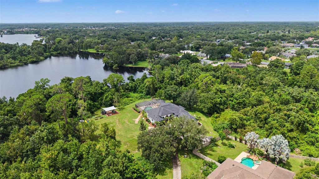 An aerial view shows a house with a screened pool nestled among trees near a lake — 15532 LAKE GRACE DRIVE, ODESSA, FL