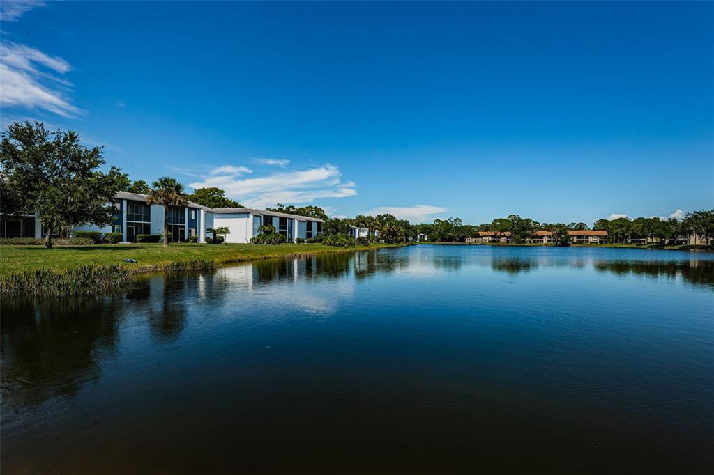 A view of a lake surrounded by apartment buildings under a clear blue sky — 207 WOODLAKE WYNDE UNIT 207, OLDSMAR, FL