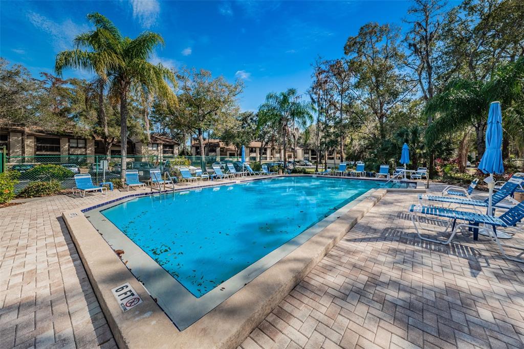 An outdoor rectangular swimming pool is surrounded by a brick patio and lounge chairs — 207 WOODLAKE WYNDE UNIT 207, OLDSMAR, FL