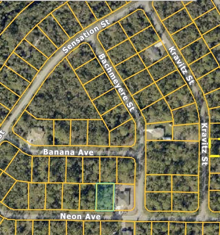This is a satellite map view showing a highlighted vacant lot on Neon Avenue — NEON AVENUE, NORTH PORT, FL