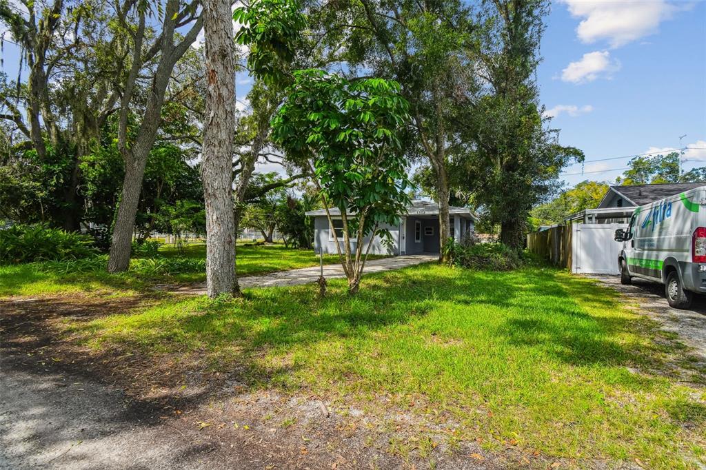 A single-story house sits behind a large tree on a grassy lot with a van — 6502 N 31ST STREET, TAMPA, FL