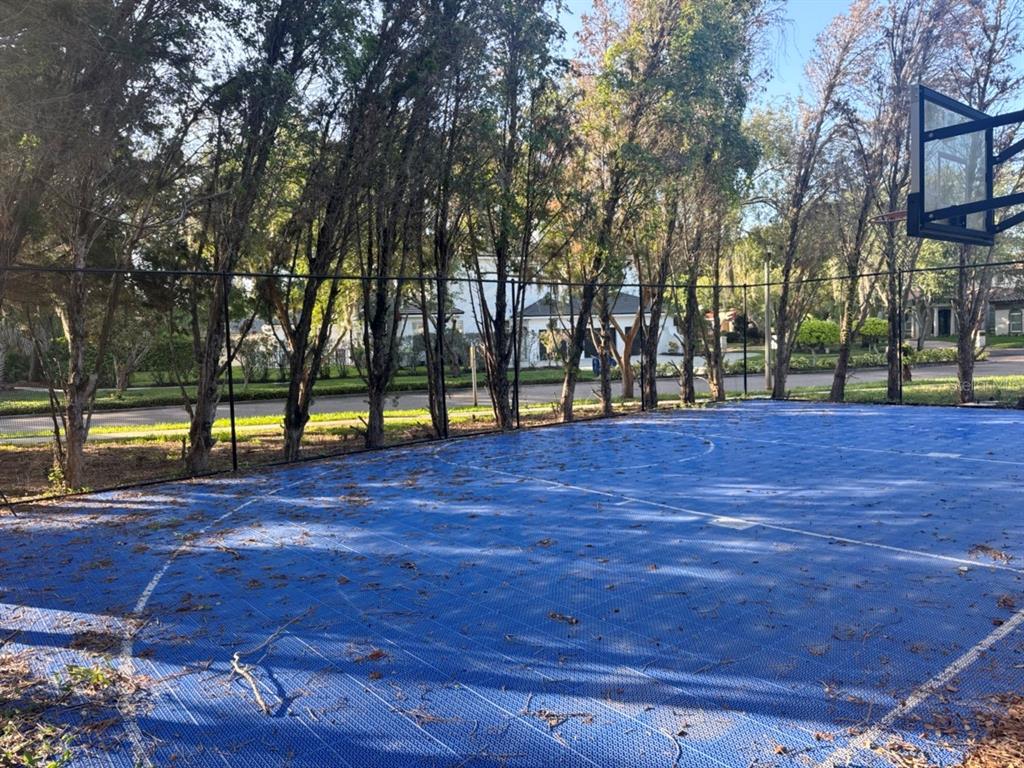 A blue outdoor basketball court is enclosed by a chain-link fence and surrounded by trees — 9003 WATERASH LANE N, PINELLAS PARK, FL