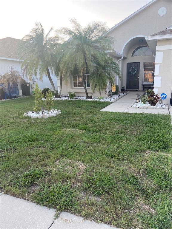 The exterior of a suburban home features a lawn, palm trees, and a paved walkway — 4304 STONES RIVER COURT, NEW PORT RICHEY, FL