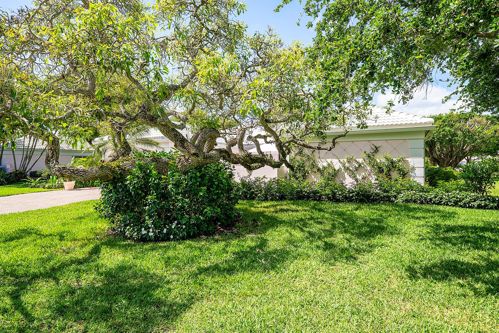 A large, gnarled tree stands in a grassy front yard in front of a house — 4419 E Sanderling Cir, Boynton Beach FL 33436, BOYNTON BEACH, FL