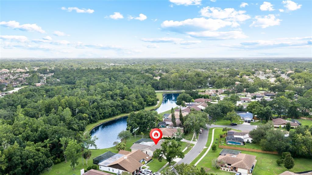 An aerial view shows a residential neighborhood with a lake and a marked house — 14011 WOLCOTT DRIVE, TAMPA, FL