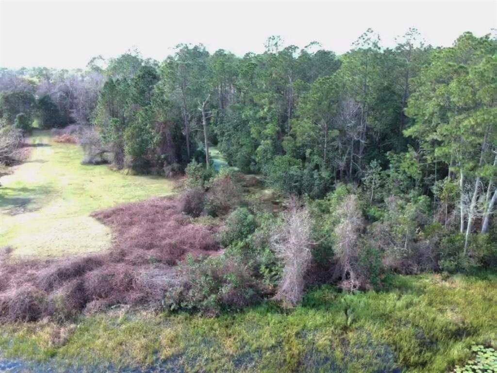 0 Gracie DRIVE, PAISLEY, FL — photo 4 of 5