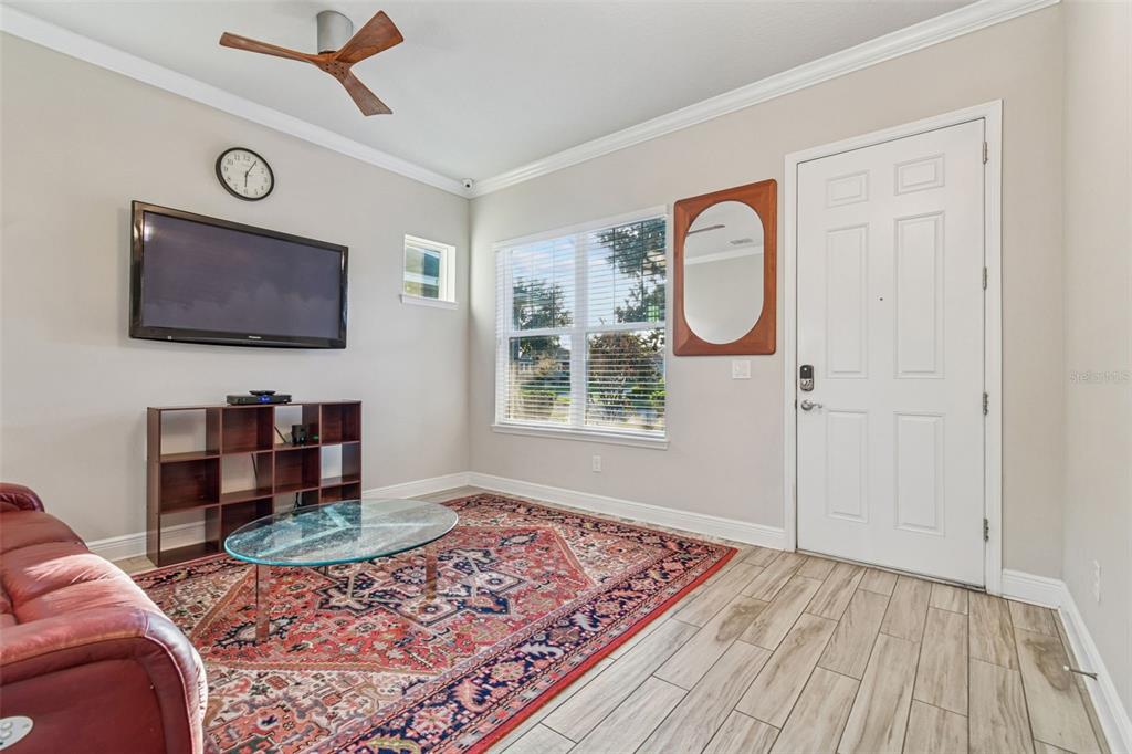 A living room features a red leather sofa, a patterned area rug, and a television — 6036 PLOVER MEADOW STREET, LITHIA, FL