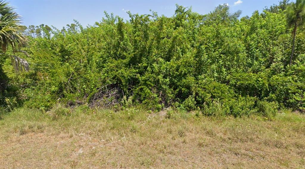 A dense thicket of green trees and shrubs borders a patch of dry grass — 14024 NAYLOR AVENUE, PORT CHARLOTTE, FL