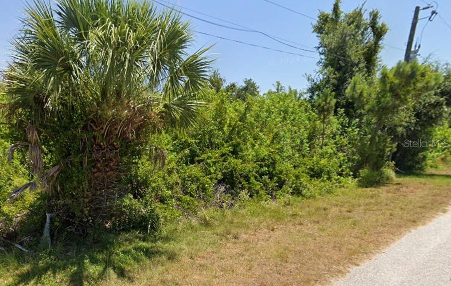A palm tree and dense vegetation border a dirt road under a clear blue sky — 14024 NAYLOR AVENUE, PORT CHARLOTTE, FL