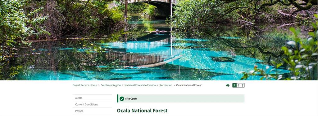A scenic view of a clear, blue-tinted spring flowing under a bridge in Ocala National Forest — 69 SE, OCKLAWAHA, FL