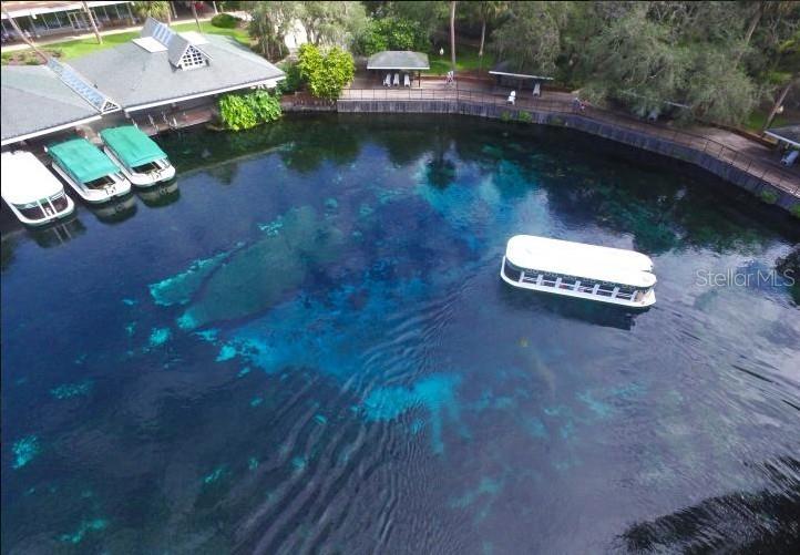 An aerial view shows a clear blue spring with several tour boats docked nearby — 69 SE, OCKLAWAHA, FL