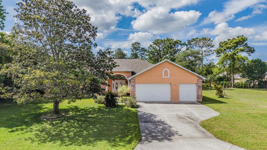 A single-story house with a two-car garage and a large tree in the front yard — 13566 RUDI LOOP, SPRING HILL, FL