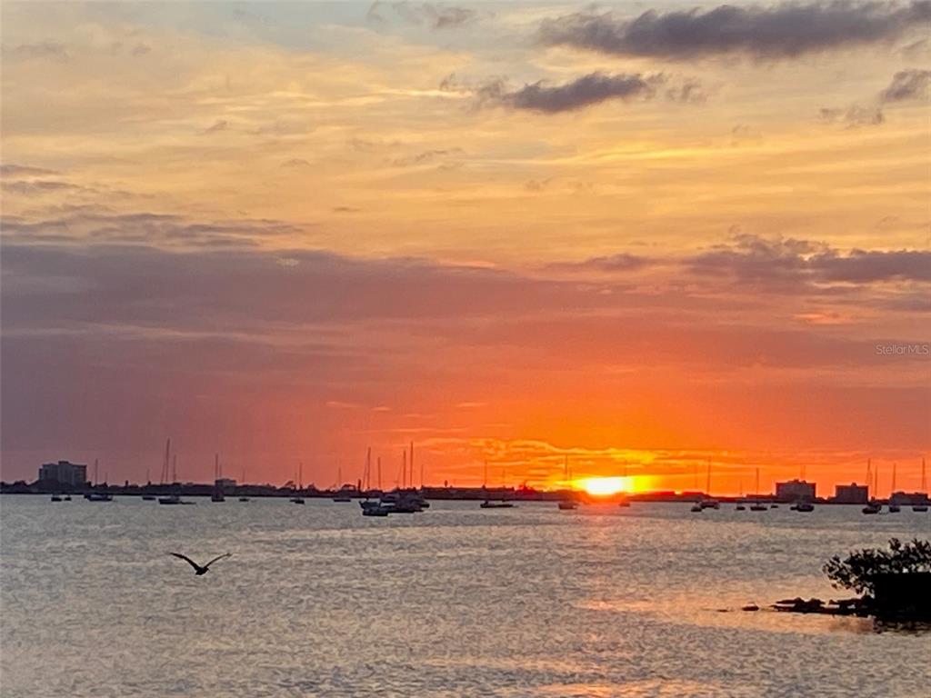 A sunset view over a body of water with numerous sailboats and distant buildings — 2800 TIFTON STREET S, GULFPORT, FL