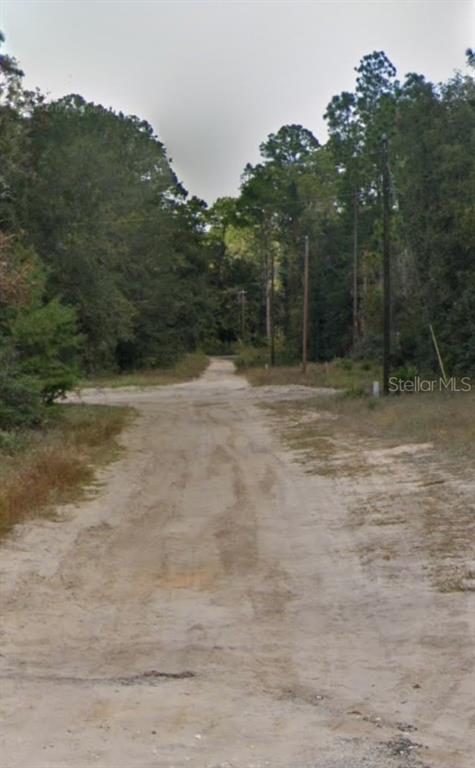 A dirt road leads through a wooded area with utility poles along the side — 132 SARASOTA STREET, FLORAHOME, FL