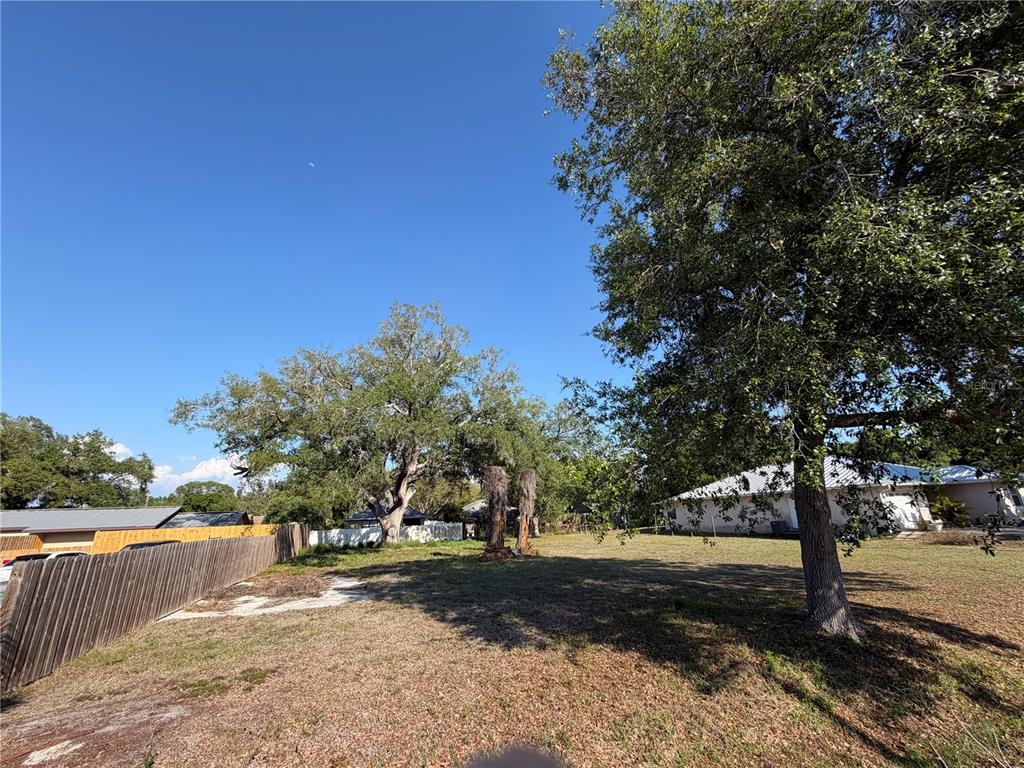 A grassy residential lot features several large trees and a wooden fence — Lot 22 CAMPHOR AVENUE, SARASOTA, FL