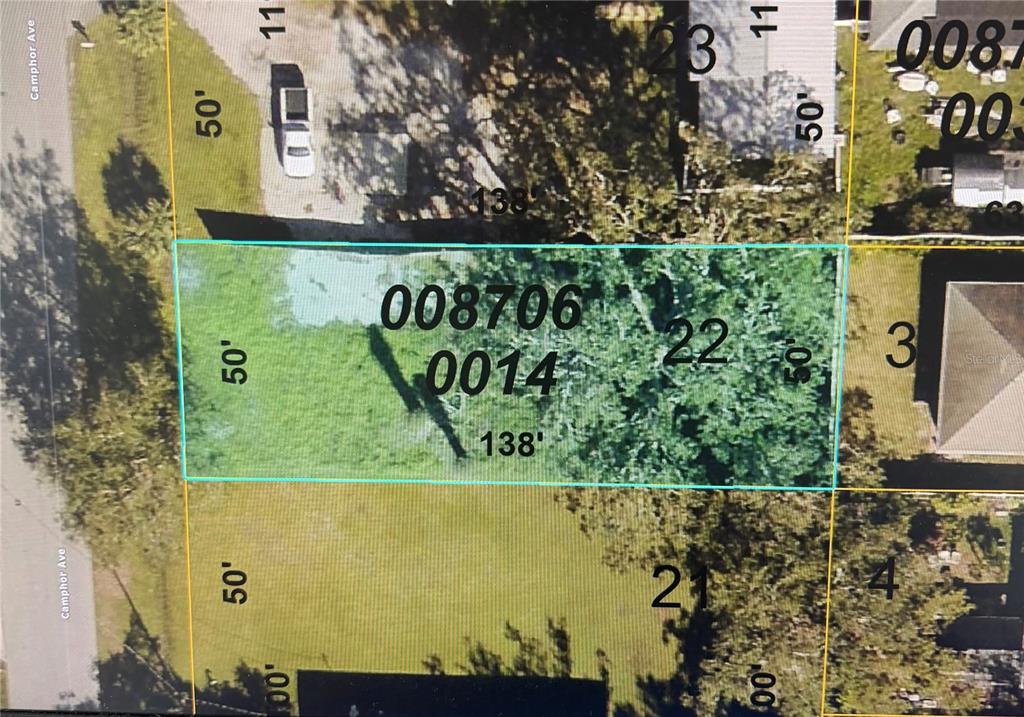 This is a map showing a rectangular land parcel with dimensions of 50 by 138 feet — Lot 22 CAMPHOR AVENUE, SARASOTA, FL