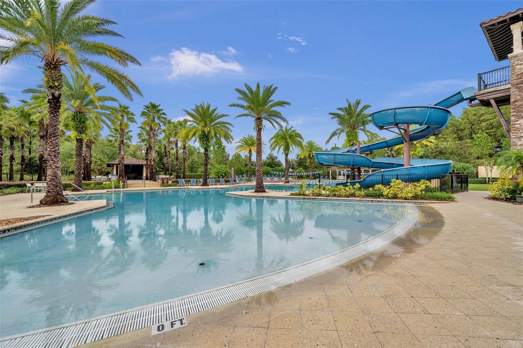 A swimming pool with a blue water slide is surrounded by palm trees and pavers — 4441 ALBERO PLACE, WESLEY CHAPEL, FL