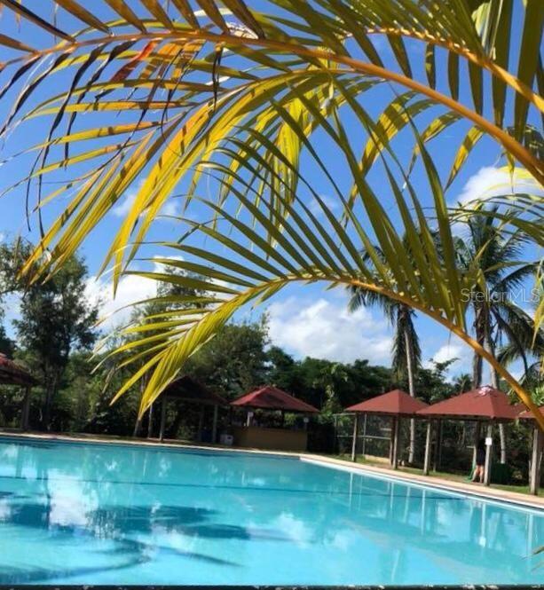 A swimming pool surrounded by palm trees and several small gazebos under a blue sky — CARR 1,  KM 21.3 BO. LA MUDA, GUAYNABO, PR