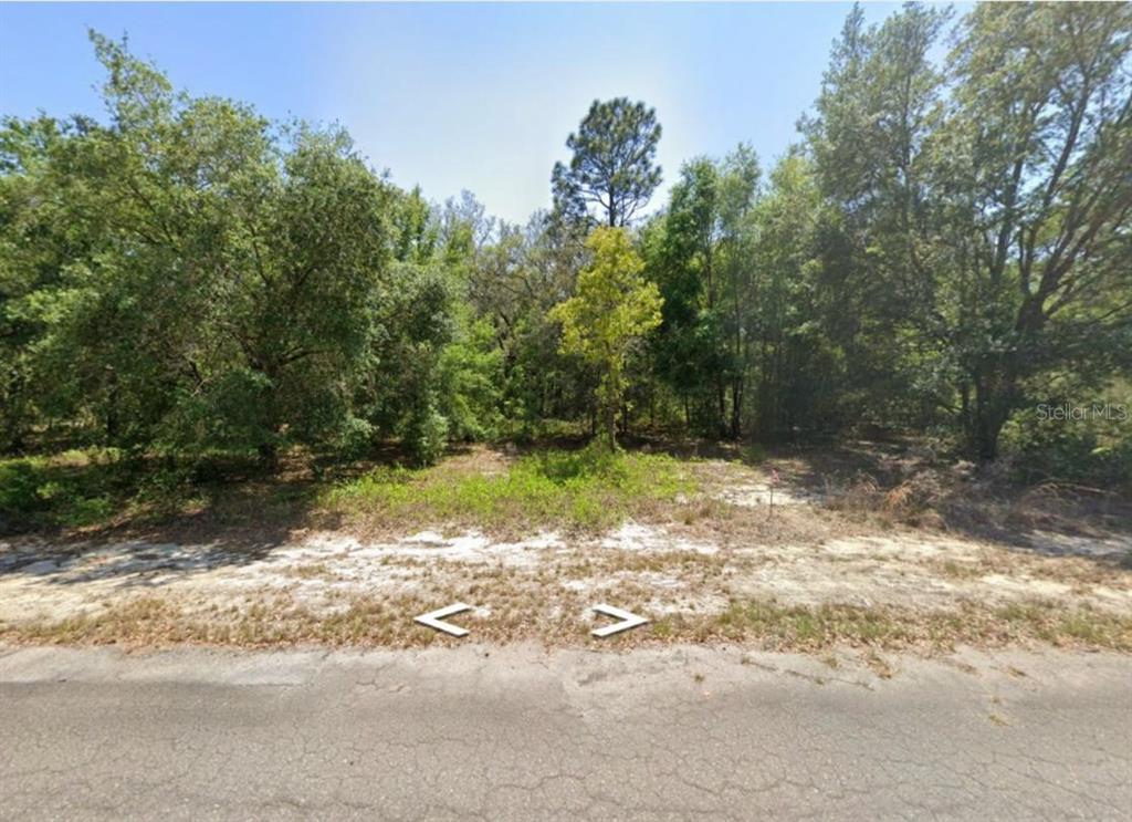 0 GUAVA LANE PLACE