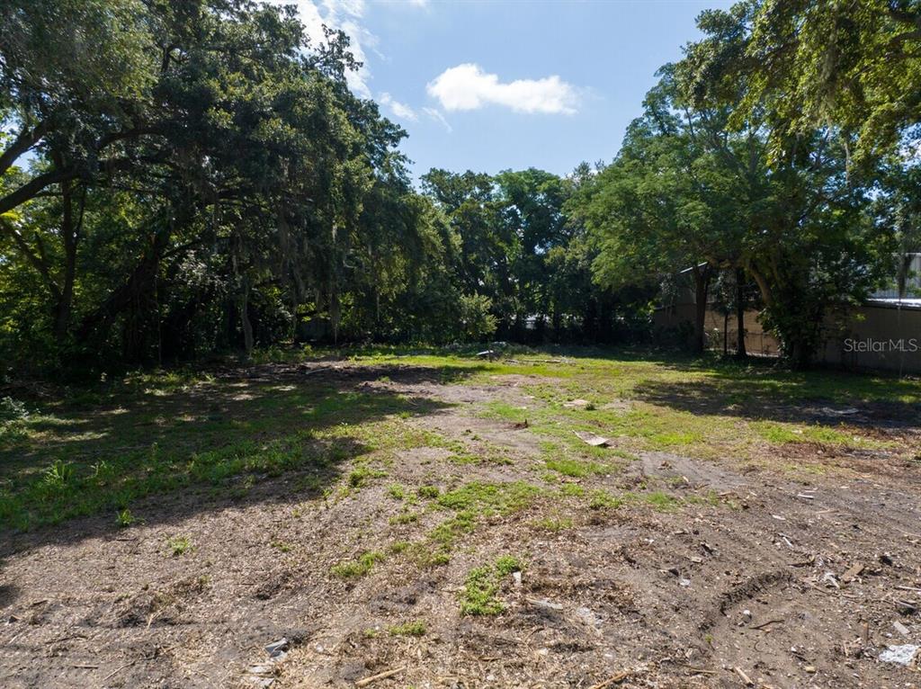 A vacant, partially cleared lot with mature trees and scattered debris under a blue sky — 6203 WINEGARD ROAD, ORLANDO, FL