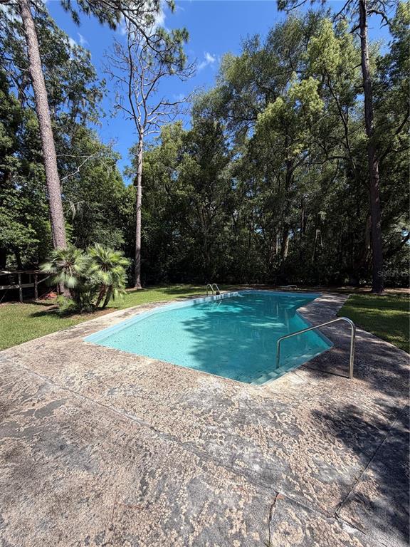 An outdoor swimming pool is surrounded by a concrete deck and tall trees — 4506 NE 11TH STREET, OCALA, FL