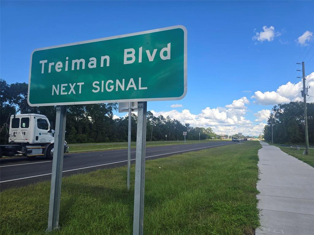 A green road sign reading Treiman Blvd Next Signal stands beside a paved highway — 000 CORTEZ BOULEVARD, DADE CITY, FL