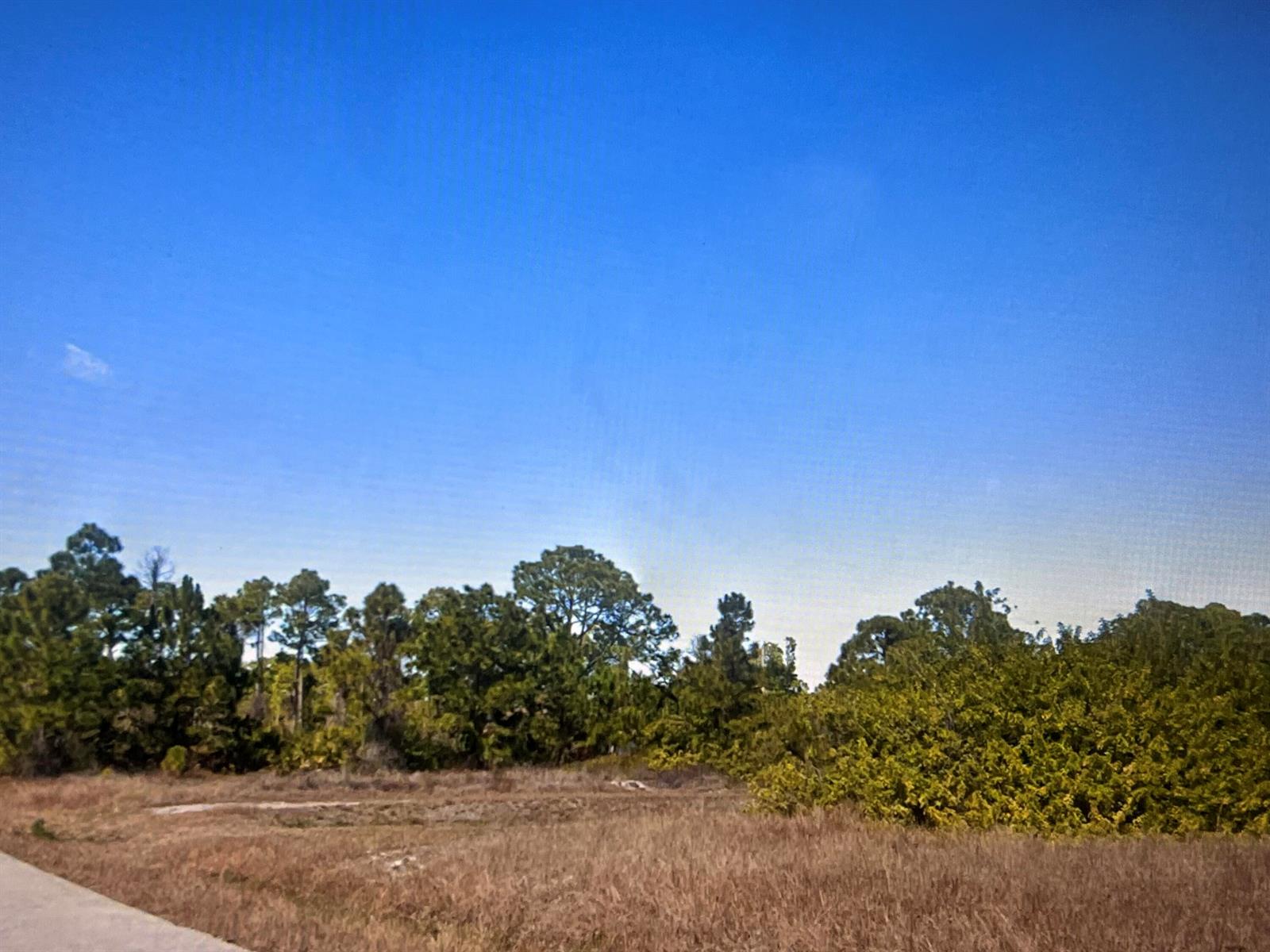 A vacant, grassy lot is bordered by a dense line of trees under a blue sky — 952 Hansen Street E, Lehigh Acres FL 33974, LEHIGH ACRES, FL