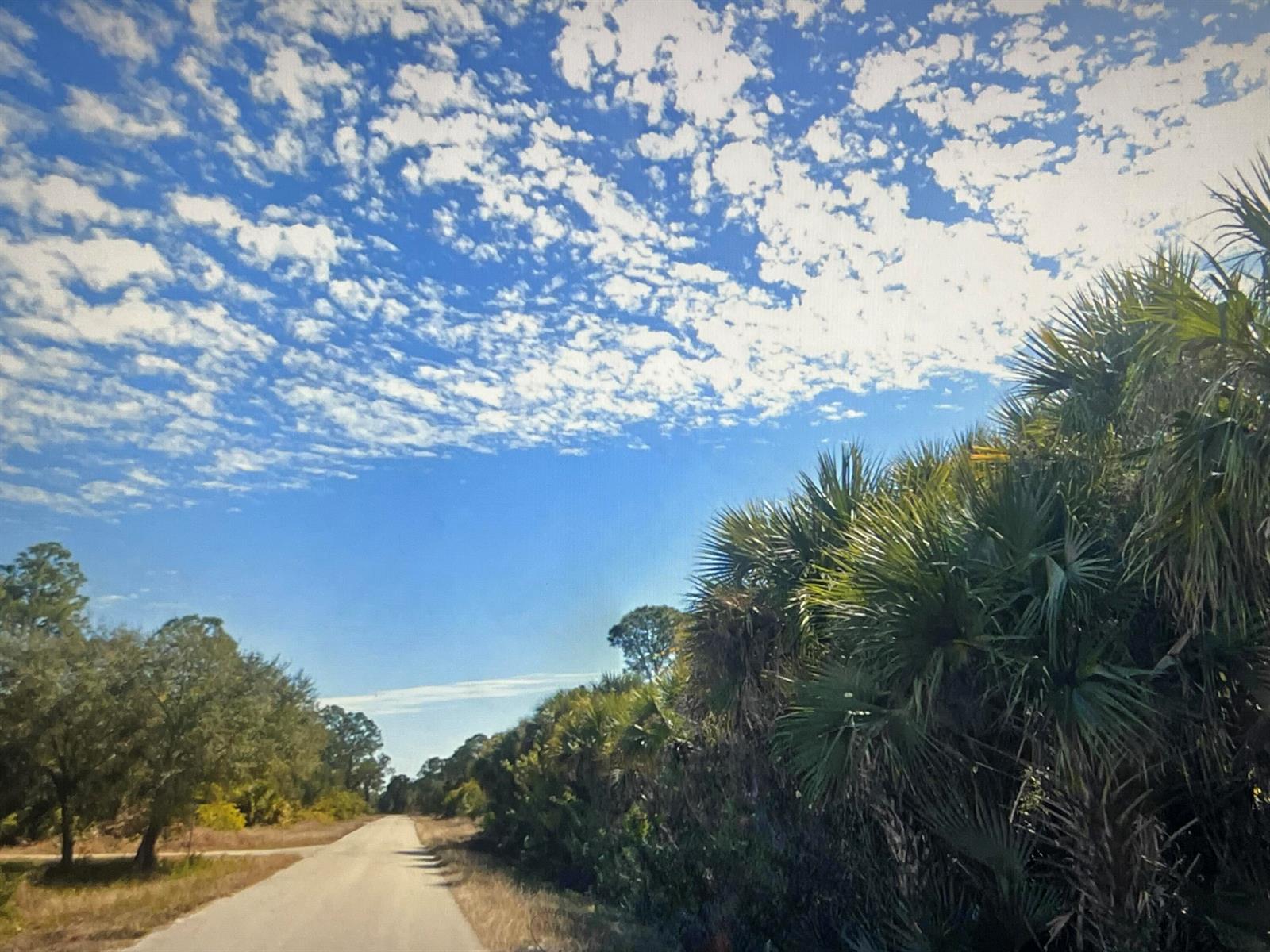 A paved road stretches through a landscape featuring palm trees and a blue, cloudy sky — 952 Hansen Street E, Lehigh Acres FL 33974, LEHIGH ACRES, FL
