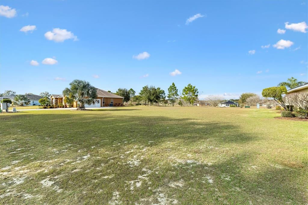 A large, grassy residential lot features scattered trees and neighboring houses under a blue sky — 529 DOWLING CIRCLE, LADY LAKE, FL