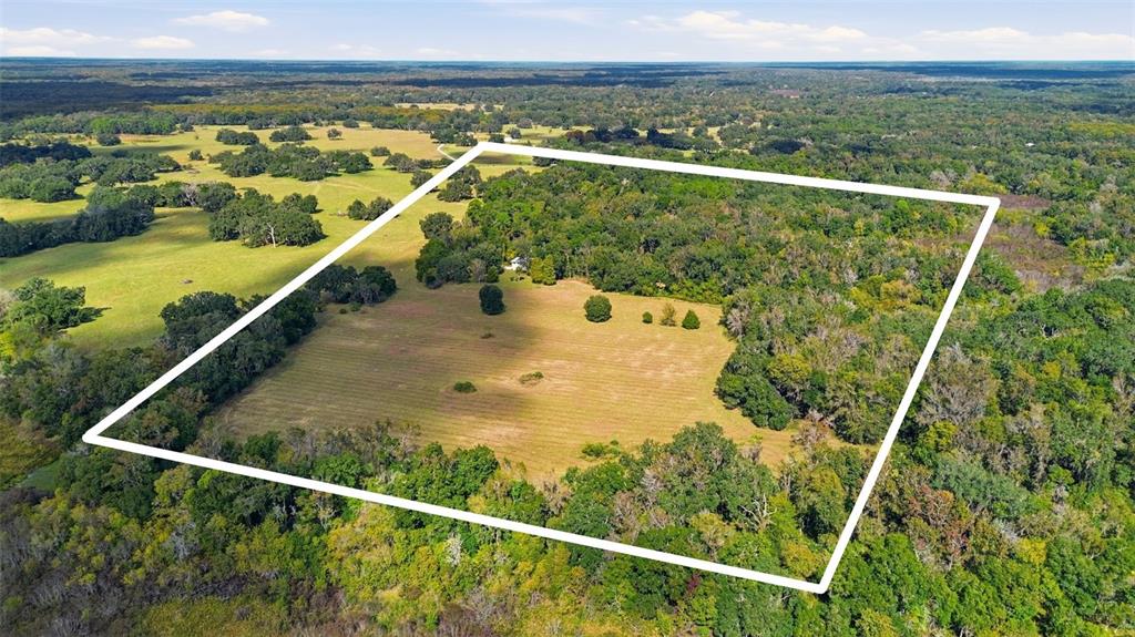 An aerial view shows a large, rectangular plot of land featuring open pasture and trees — 5505 CR 634S, BUSHNELL, FL