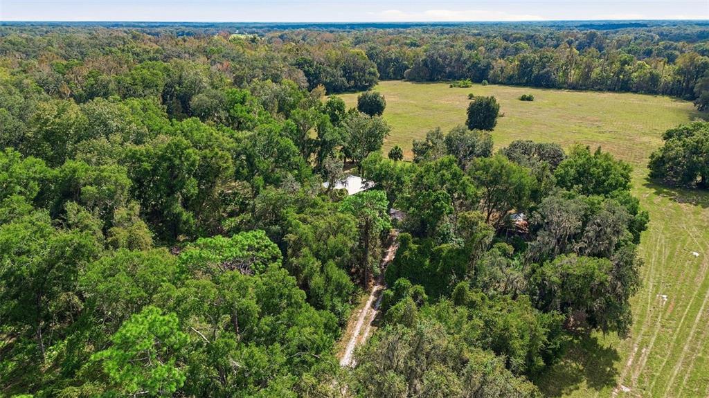 An aerial view shows a house nestled within a dense forest bordering a large pasture — 5505 CR 634S, BUSHNELL, FL