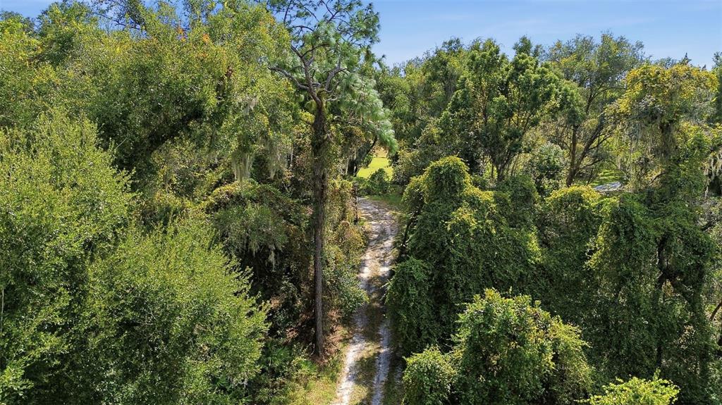 An aerial view shows a dirt path winding through a dense, wooded forest area — 5505 CR 634S, BUSHNELL, FL