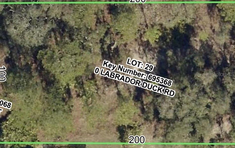 This is an aerial map view of a vacant, wooded rectangular lot — 11335 LABRADOR DUCK ROAD, WEEKI WACHEE, FL
