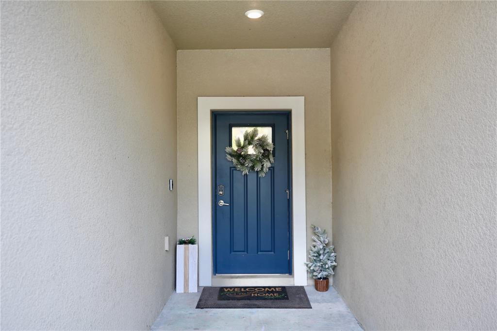 A blue front door with a wreath sits in a recessed entryway with concrete flooring — 17620 NECTAR FLUME DRIVE, LAND O LAKES, FL
